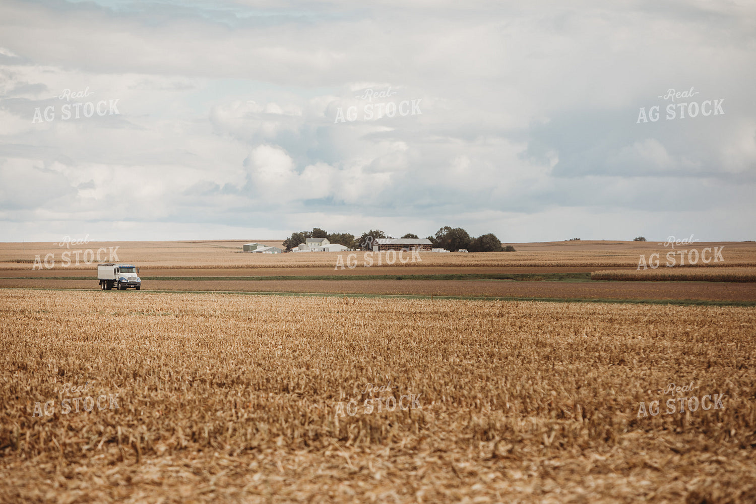 Farm Tandem Truck on Road 3355