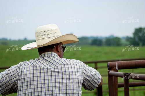 Rancher Leaning on Fence 214181