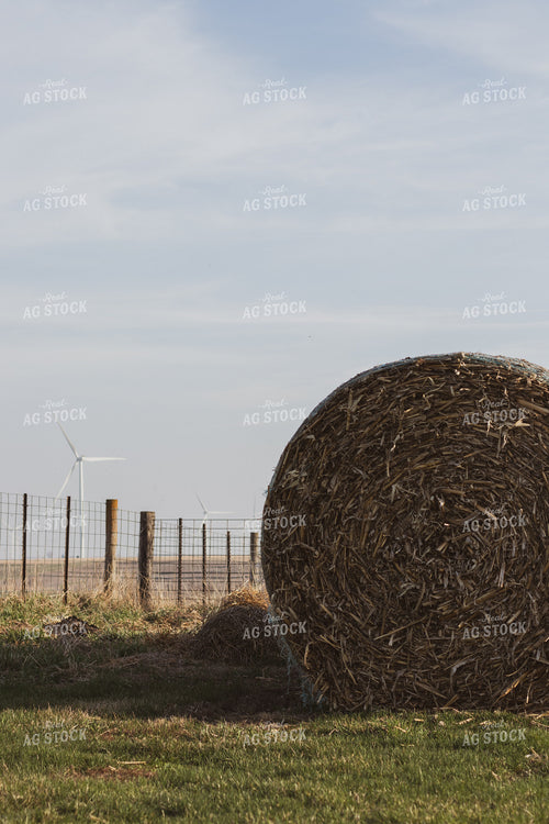 Corn Bale 67853