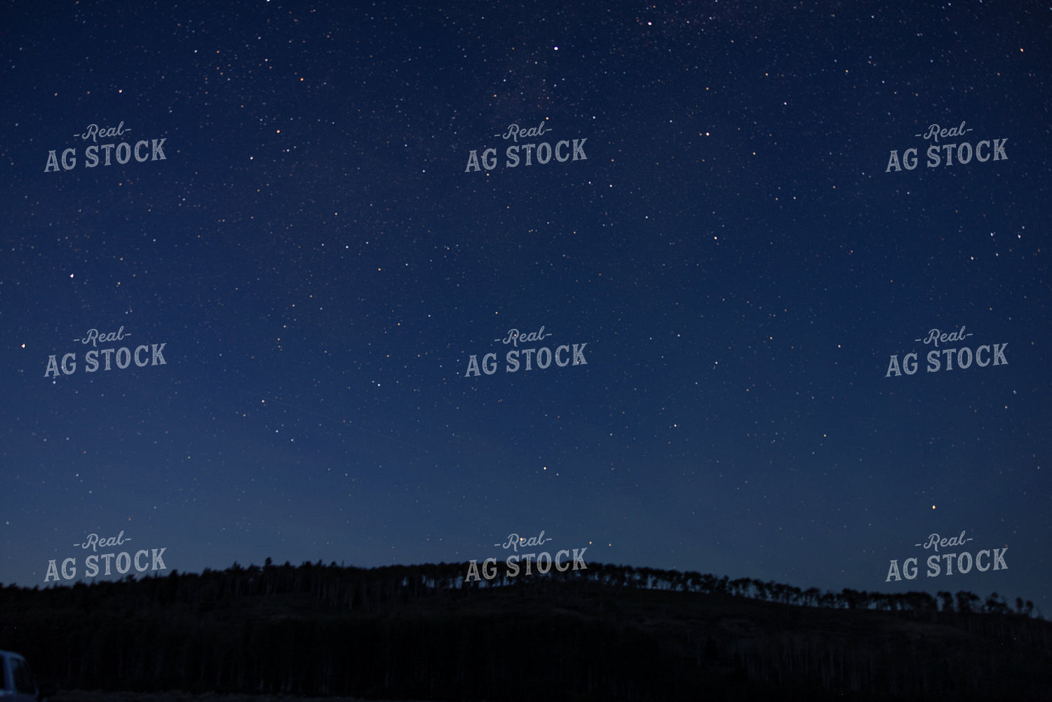 Stars in Sky 304111