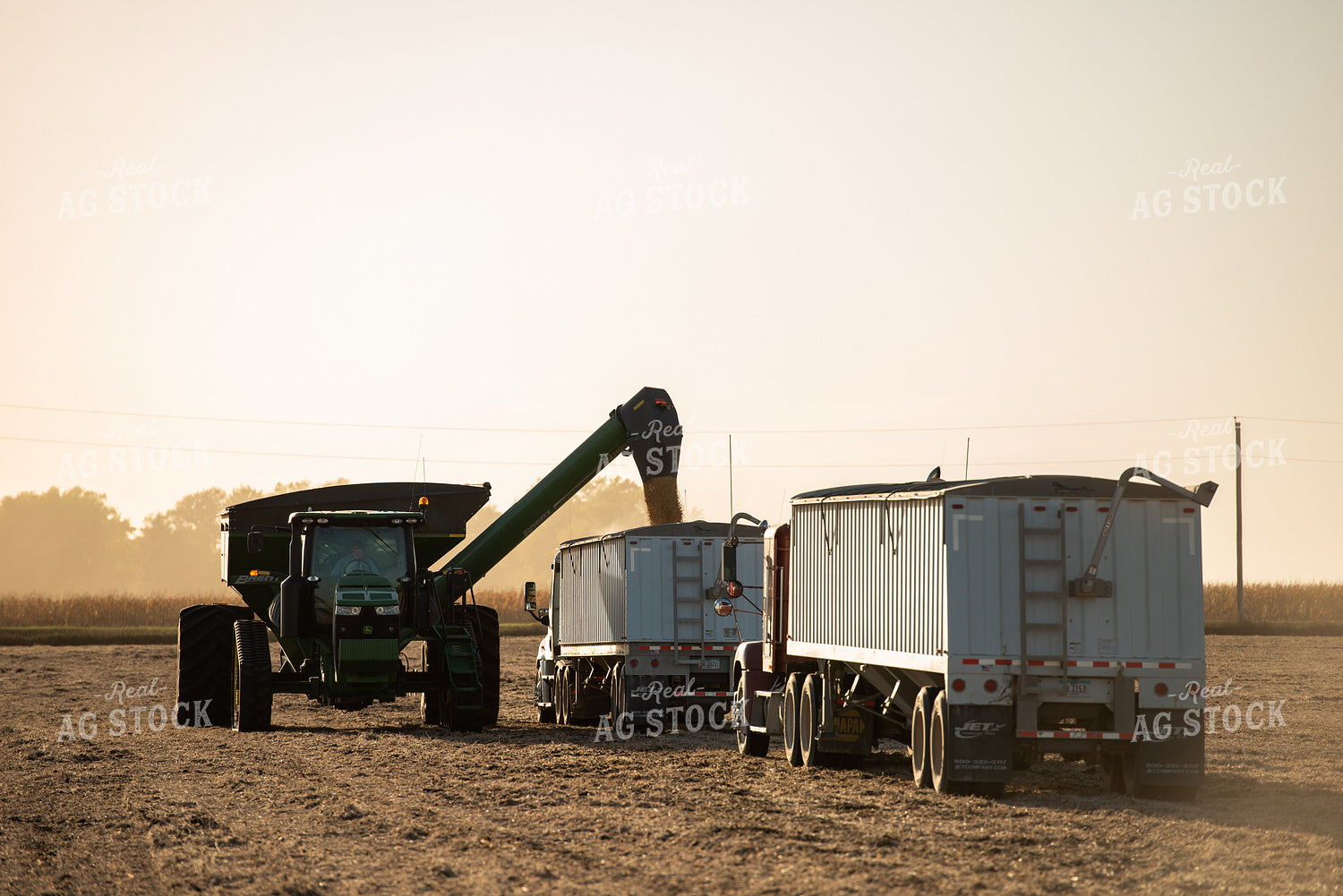 Soybean Harvest 274015