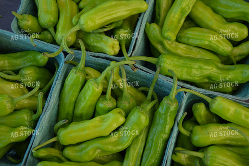 Peppers 106024
