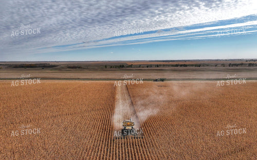 Aerial of Corn Harvest 141186