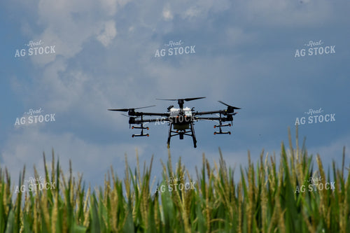 Drone Sprayer Above Corn 84101