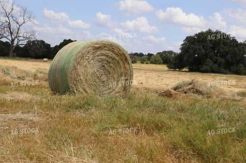 Hay Bale 102095