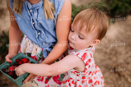 Farm Kids in Strawberry Patch 169026
