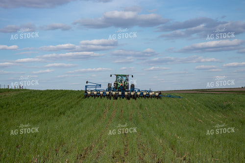 Planting into Cover Crops 67082