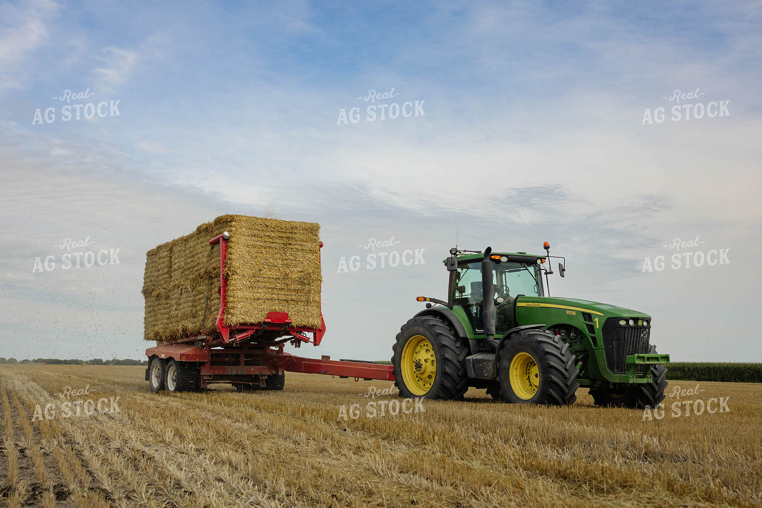 Loading Wheat Straw Bales 296073