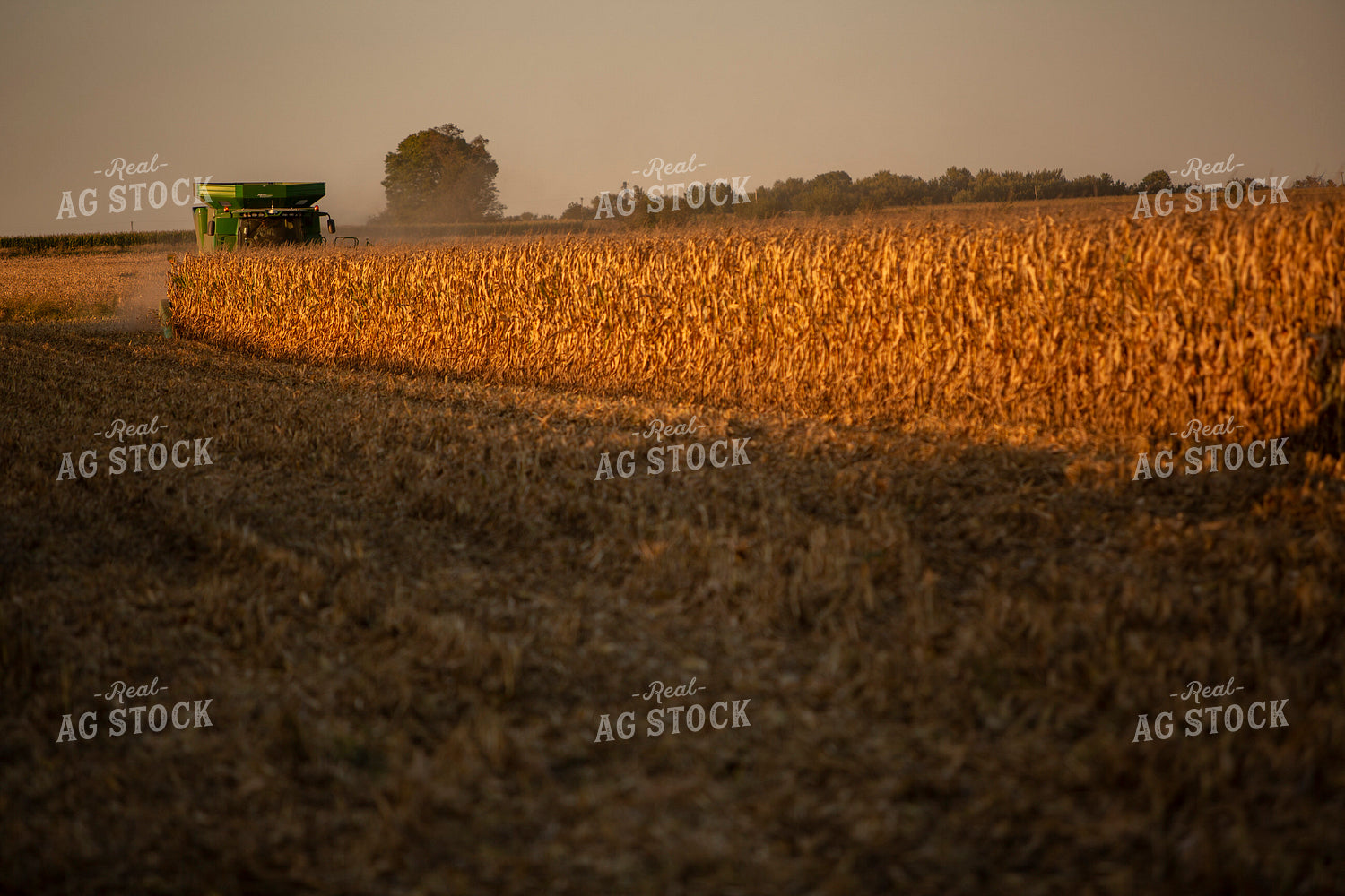 Harvest 2506