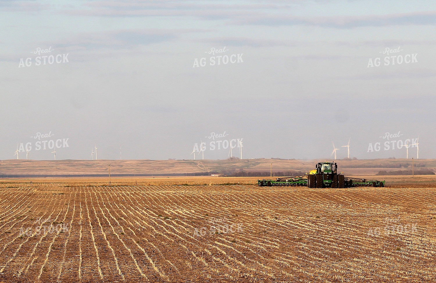 Planting 141542