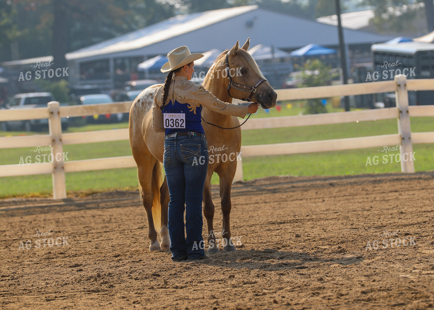 Equestrian With Horse 160070