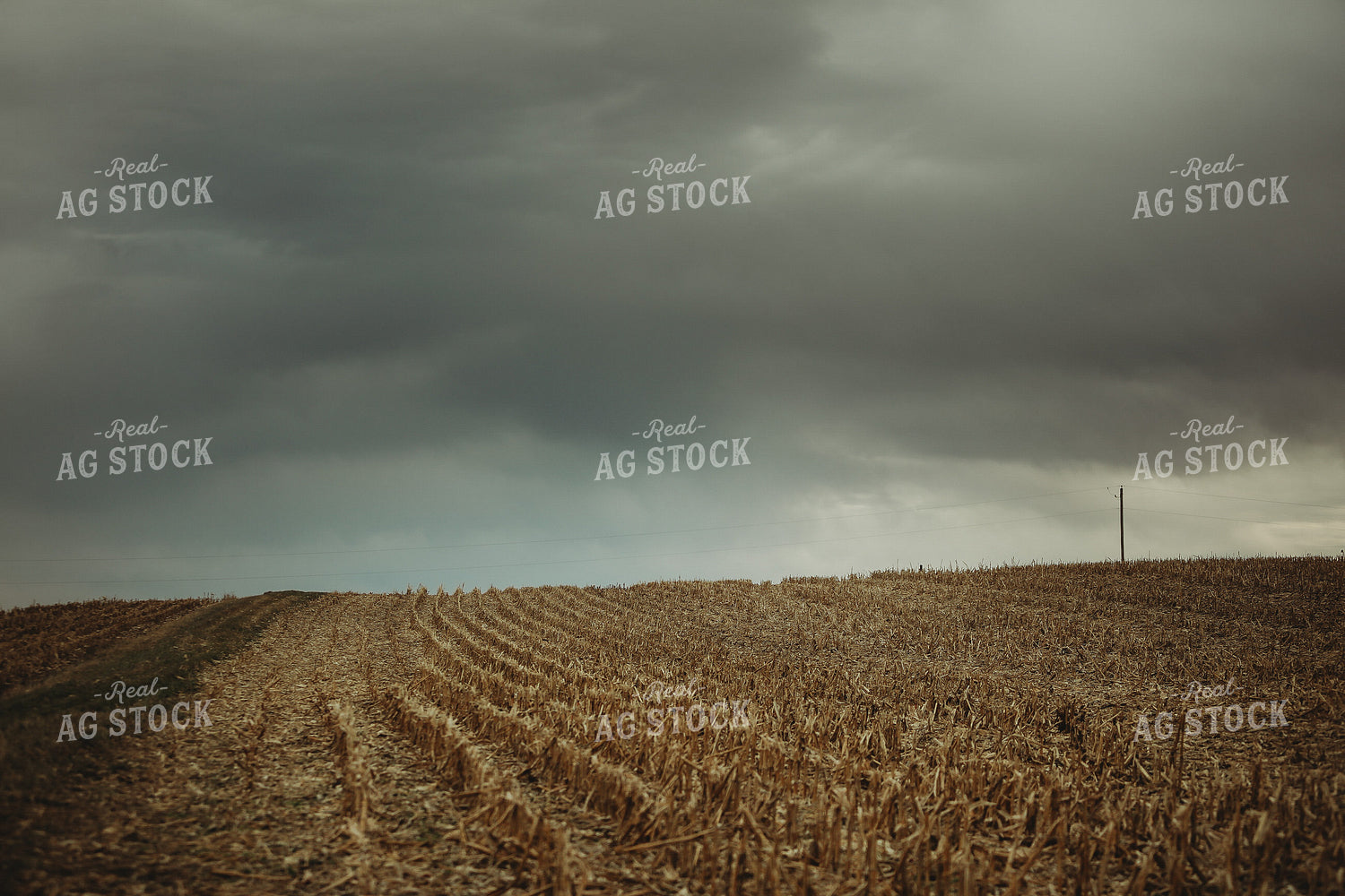 Harvested Corn Field and Storm Clouds 3651