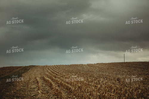 Harvested Corn Field and Storm Clouds 3651