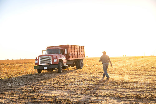 Farmer Walking to Truck 115855