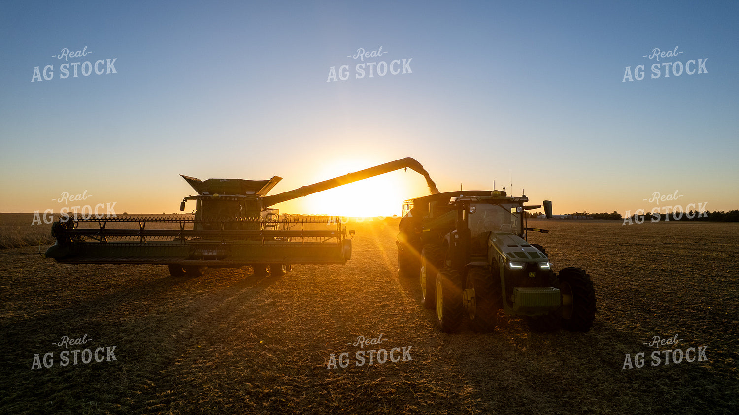 Soybean Harvest 65255