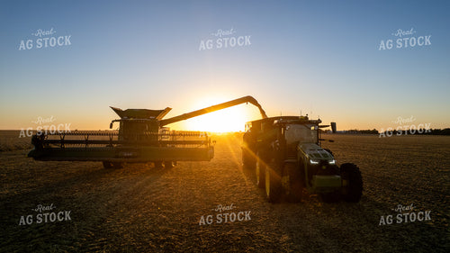 Soybean Harvest 65255