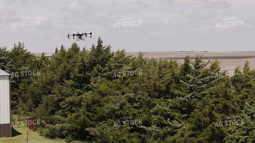 Drone Sprayer Spraying Bag Worms in Evergreens  239290