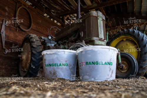 Farm Scene with Tractor and Rangeland Buckets on Barn Floor 65316
