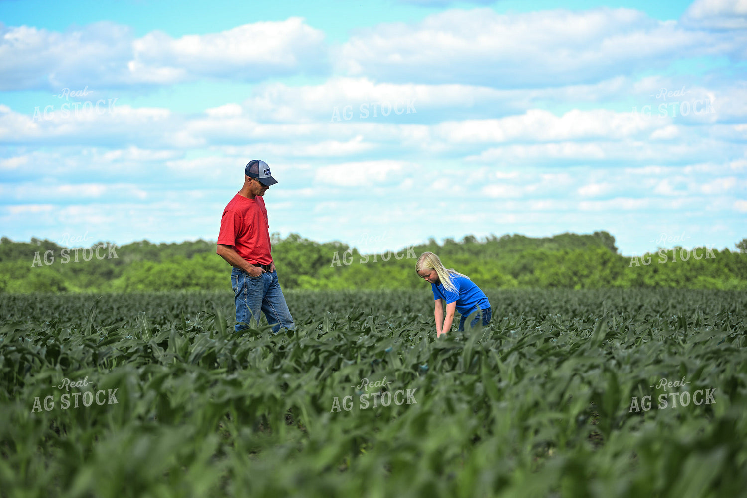 Farmer and Daughter Scouting Corn Field 191330