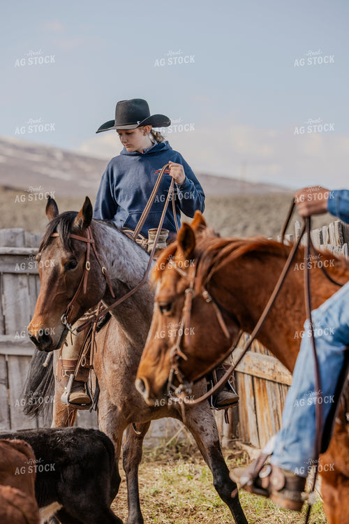 Gathering Cattle on Horseback 200052