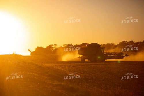 Harvest 1720