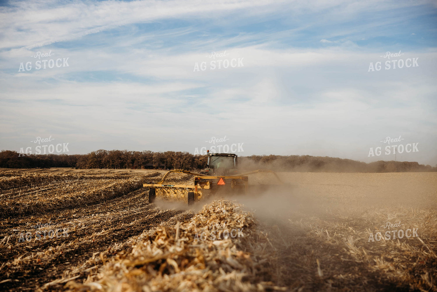 Raking Corn Stalks 152062