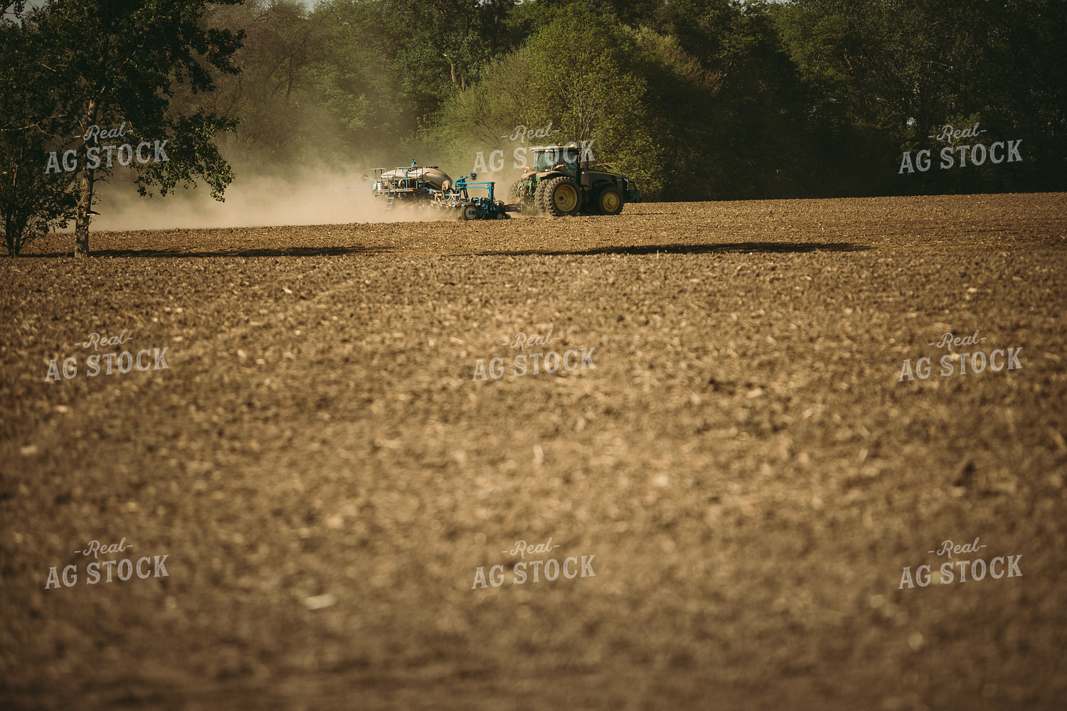 Planting on a Sunny Day 4160