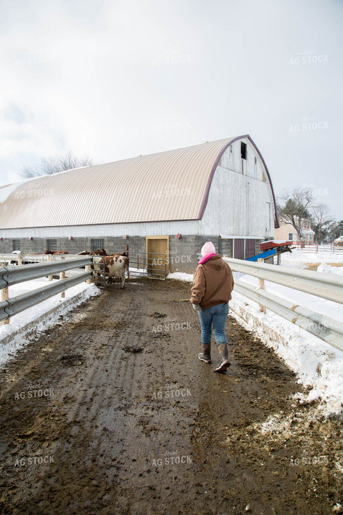 Female Dairy Farmer 161018