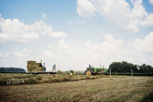 Baling Square Hay Bales 281025
