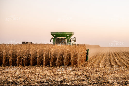 Corn Harvest 185122