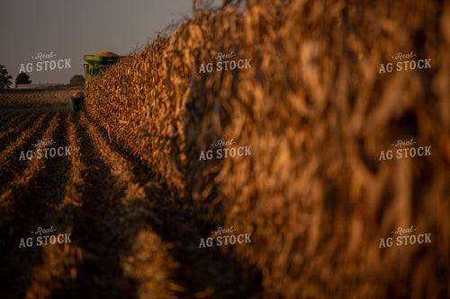 Harvest 2518