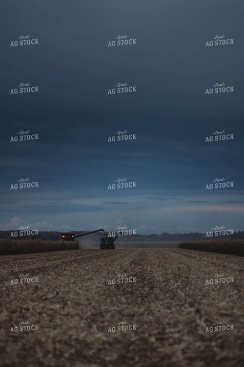 Corn Harvest 8634