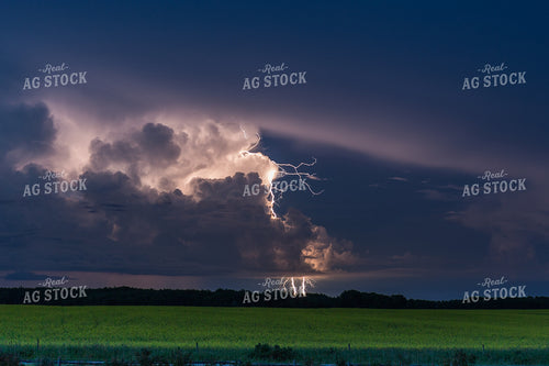 Lightning Strikes in Summer 138024