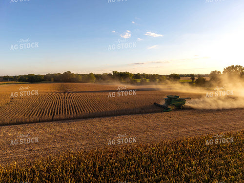 Soybean Harvest 115843