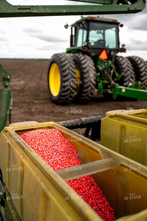 Corn Seed in Planter 115762