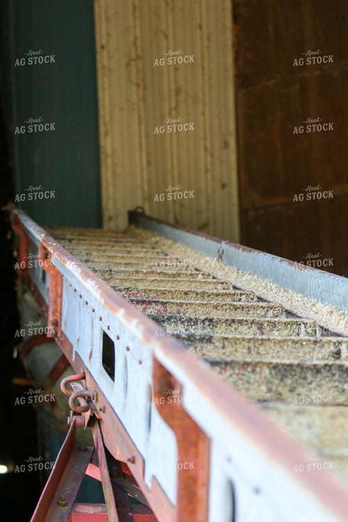 Hay Bale Conveyor 160324