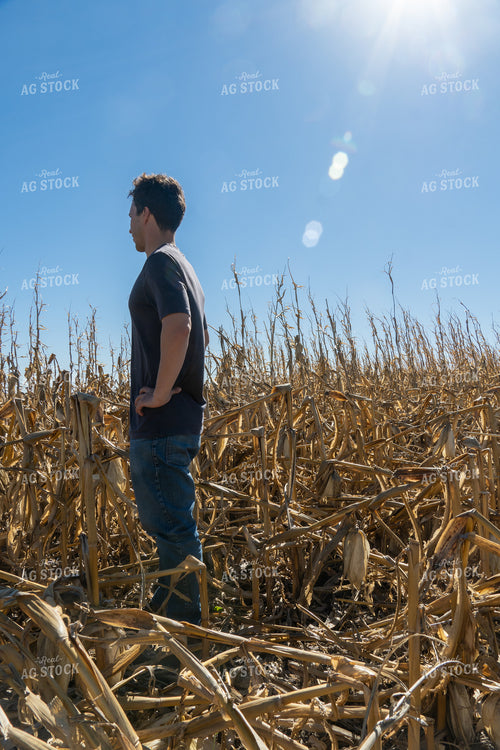 Farmer in Downed Corn 65125