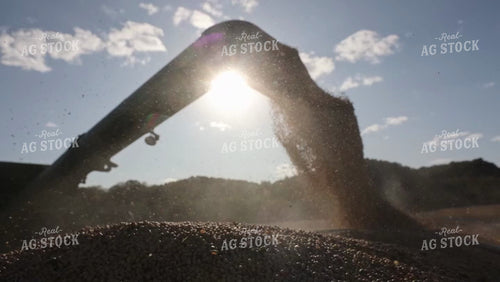 Auger Dumping Harvested Soybeans 52675