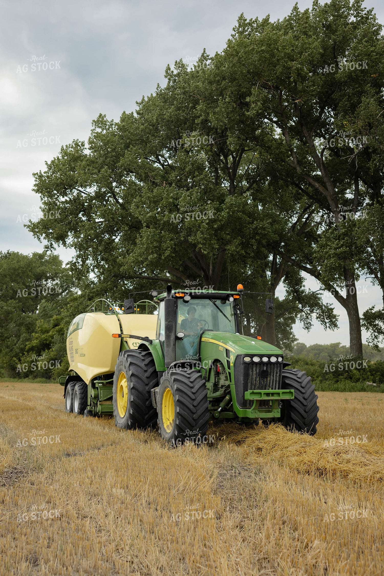 Baling Wheat Straw 296039