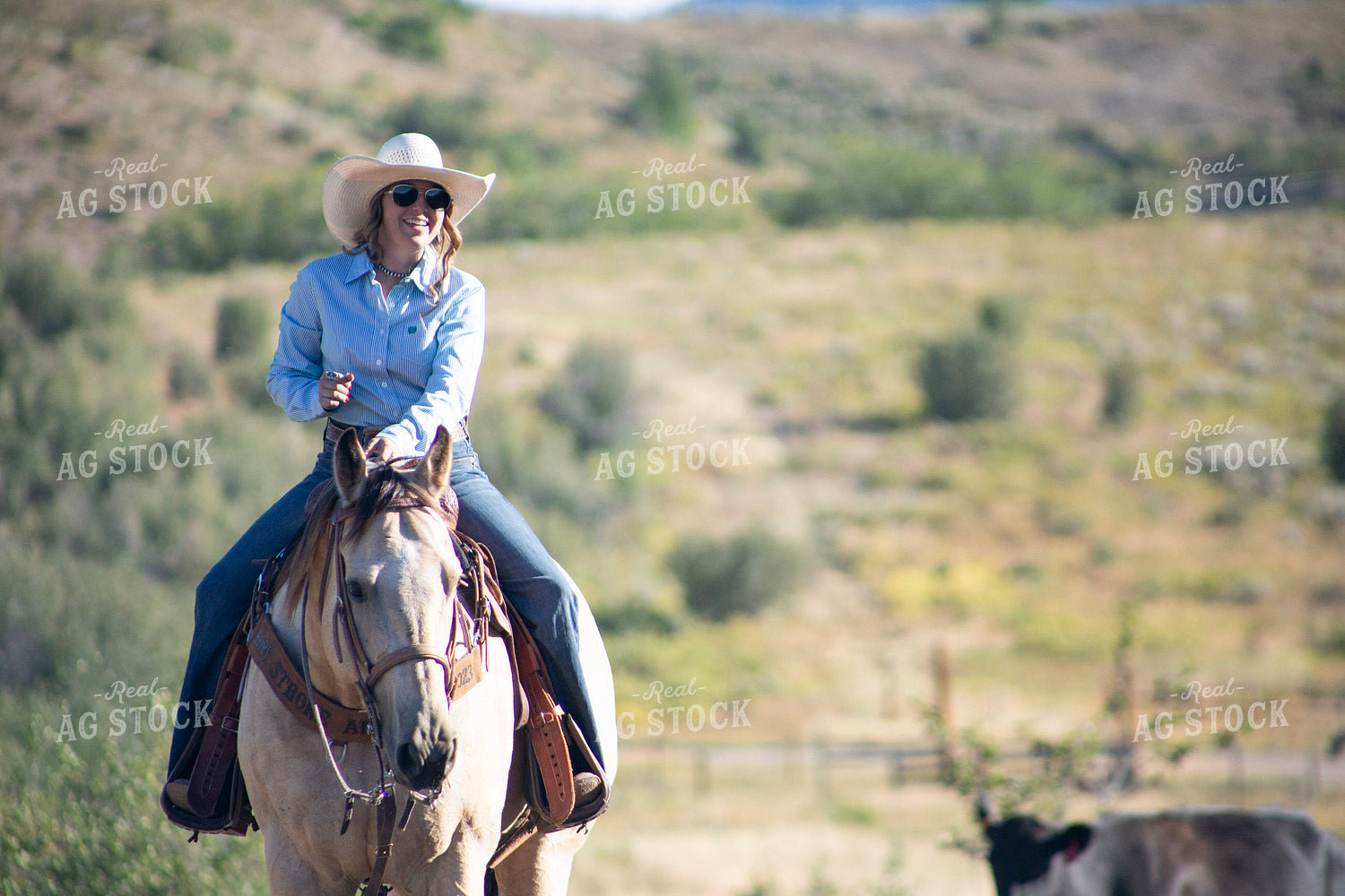 Cowgirl on Horseback 117379