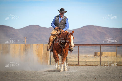 Male Rancher on Horse 78048