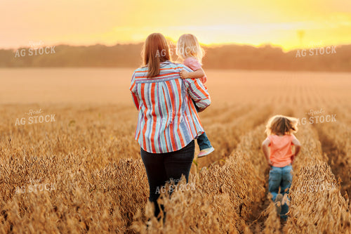 Farm Family in Dried Soybean Field at Sunset 161186