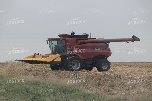 Combine in Field 102003