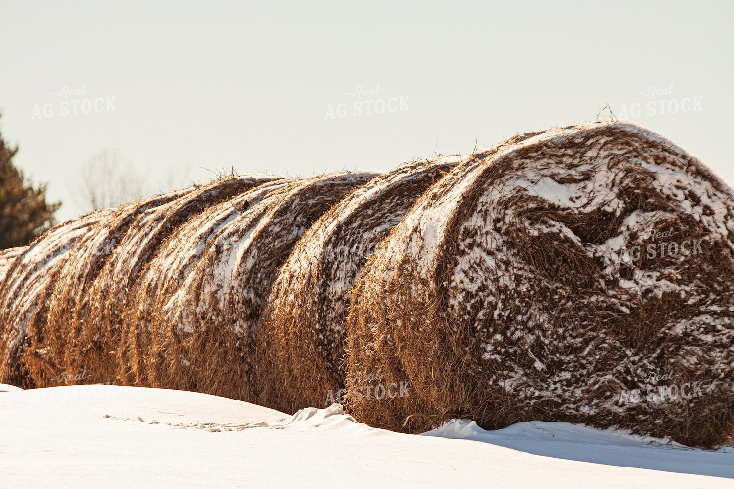 Hay Bales in Snow 150030