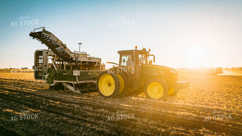 Onion Harvest 56714