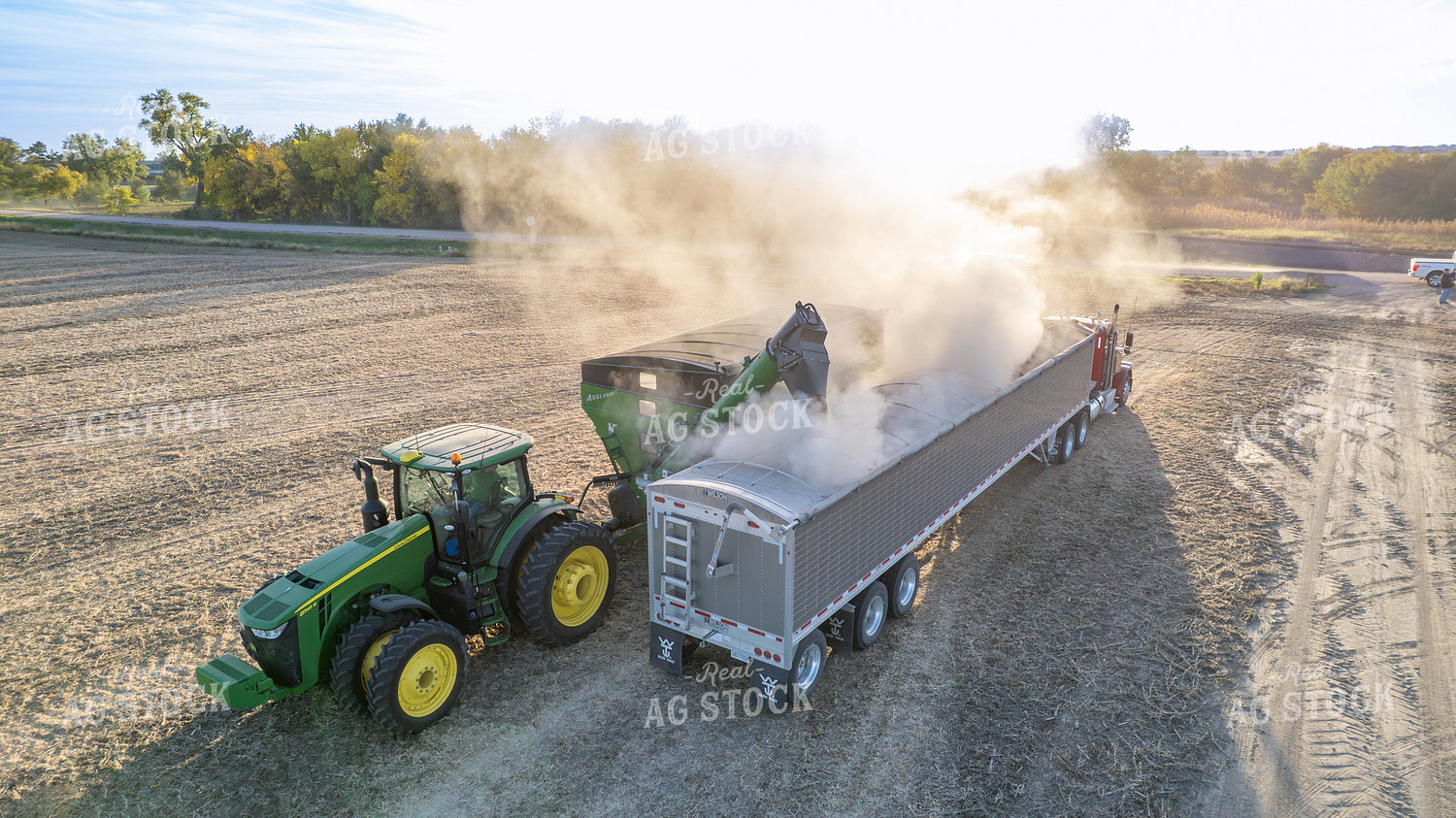 Soybean Harvest 65243