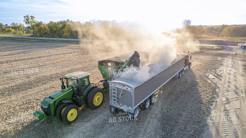 Soybean Harvest 65243