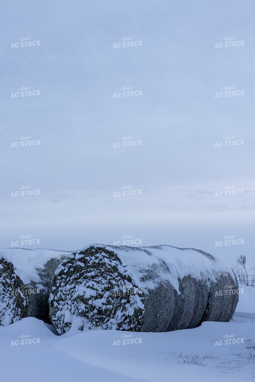 Snow Covered Round Bales 67840