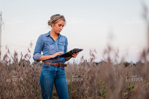 Female Farmer on Tablet in Field 8376