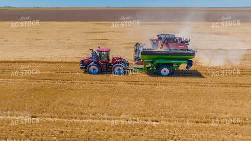 Wheat Harvest 199051